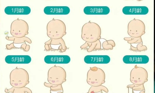 健儿消食口服液安全吗-同仁堂 健儿消食口服液说明书网健儿消食口服液的卖点知识网站,分享健儿消食口服液安全吗大全